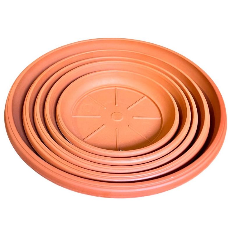 Super Floral Distributors Catalogue Image