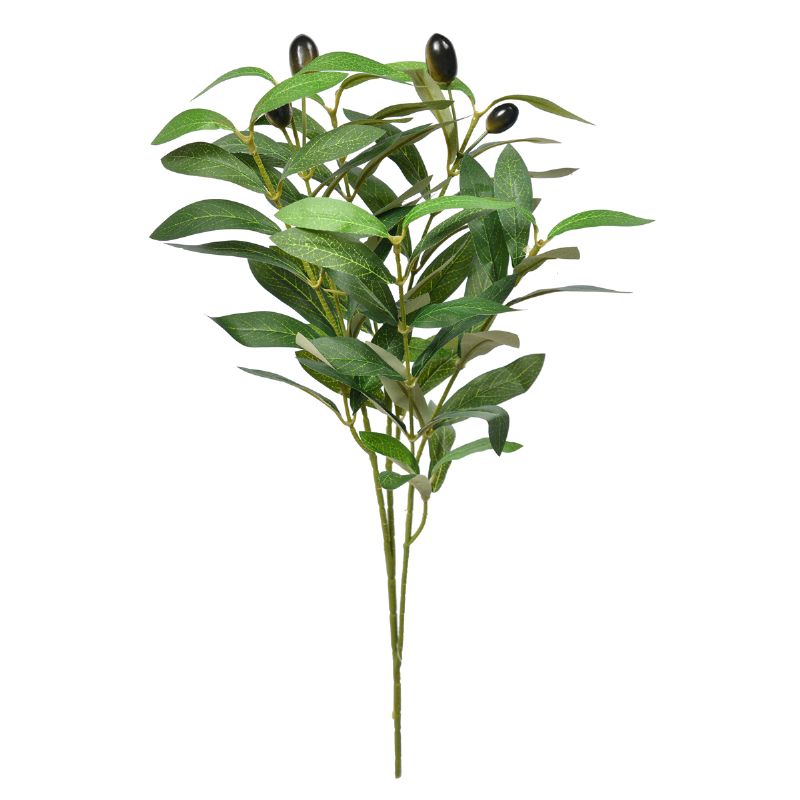 Super Floral Distributors Catalogue Image