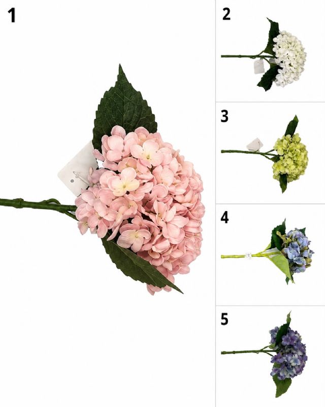 Super Floral Distributors Catalogue Image