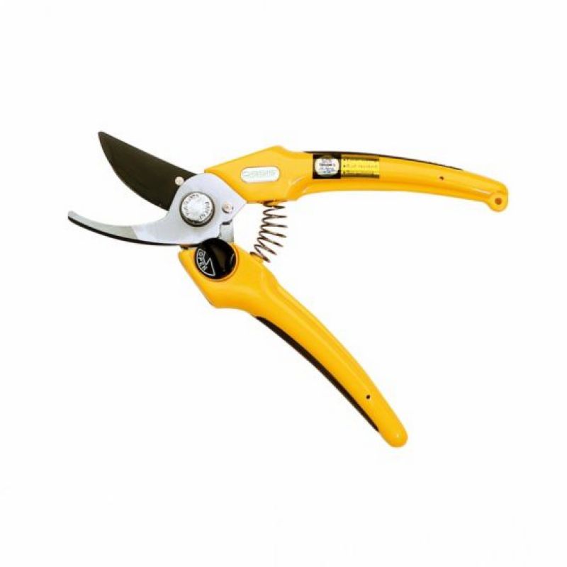 Super Floral Distributors Catalogue Image