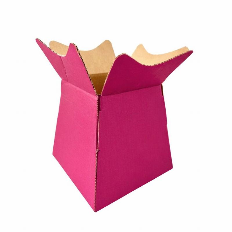 Super Floral Distributors Catalogue Image