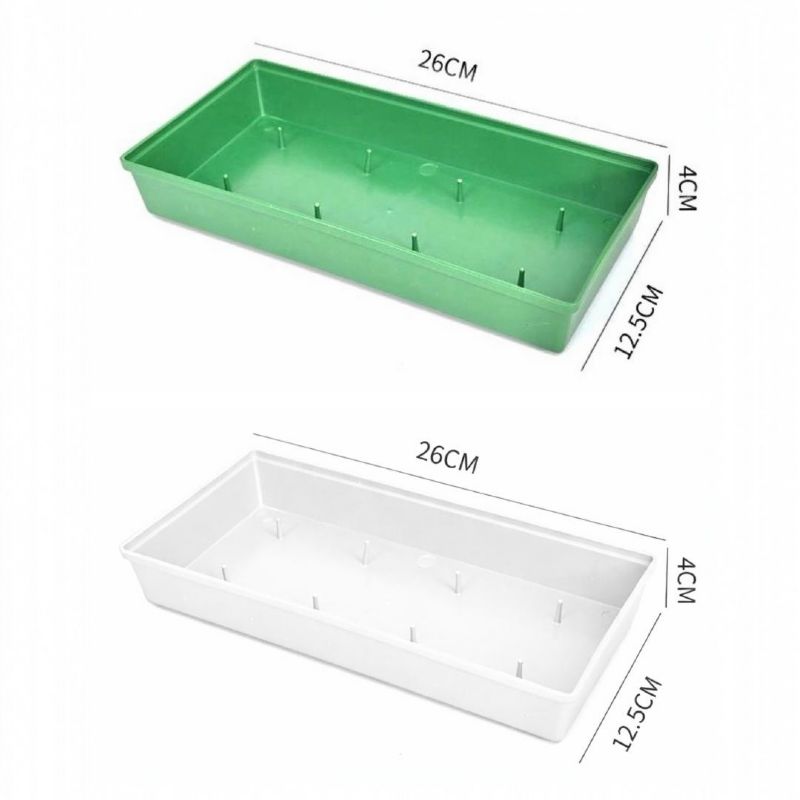 Super Floral Distributors Catalogue Image