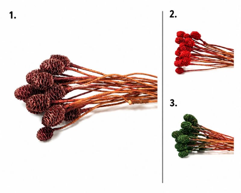 Super Floral Distributors Catalogue Image