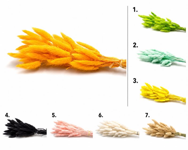 Super Floral Distributors Catalogue Image
