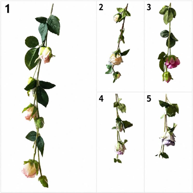 Super Floral Distributors Catalogue Image