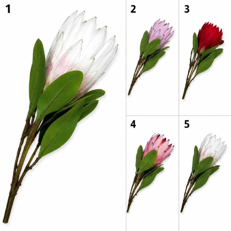 Super Floral Distributors Catalogue Image