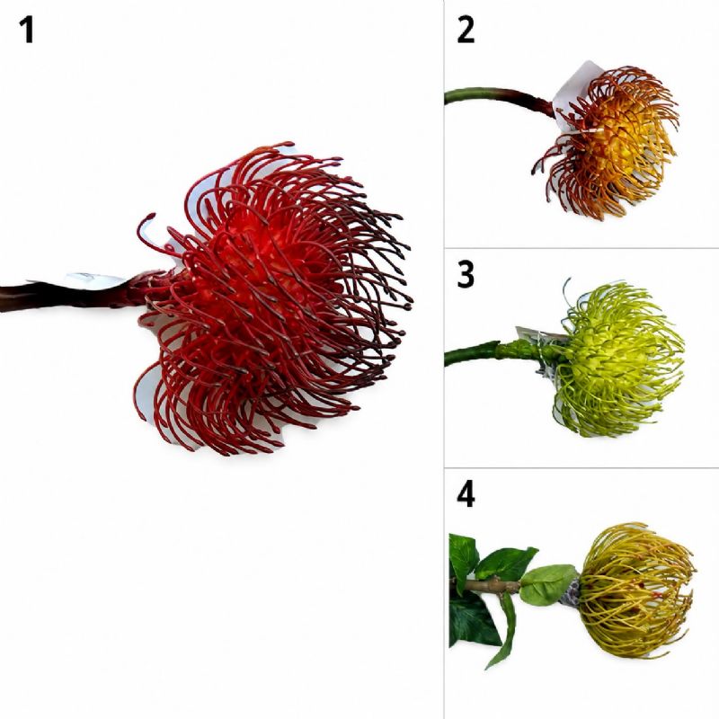 Super Floral Distributors Catalogue Image