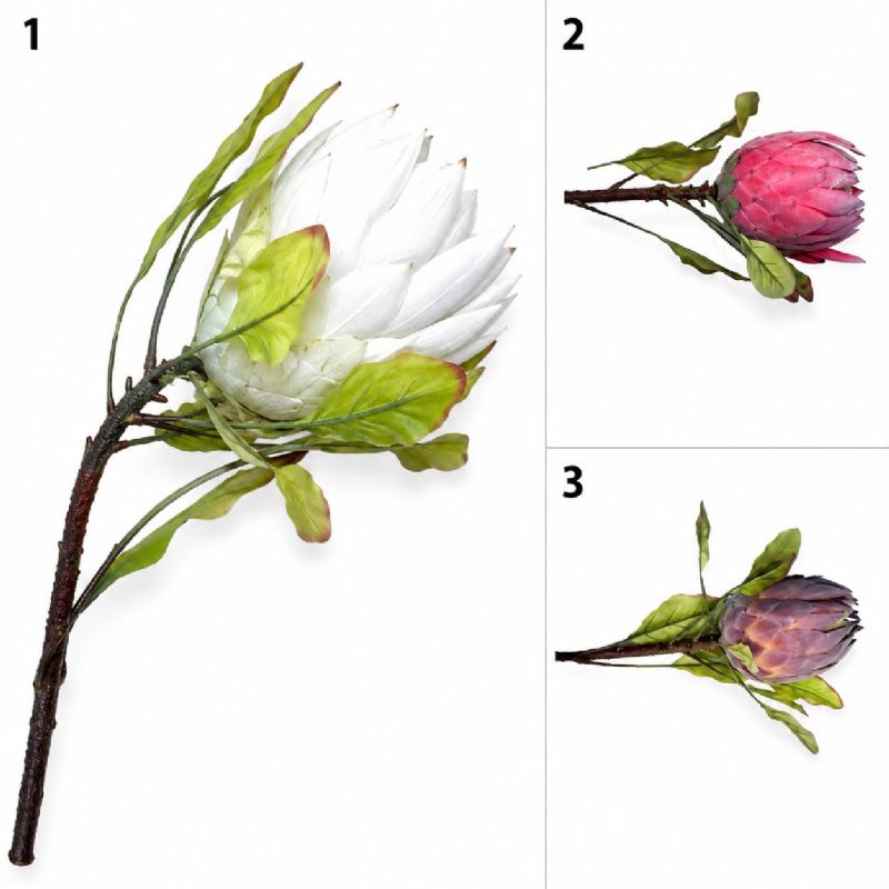 Super Floral Distributors Catalogue Image