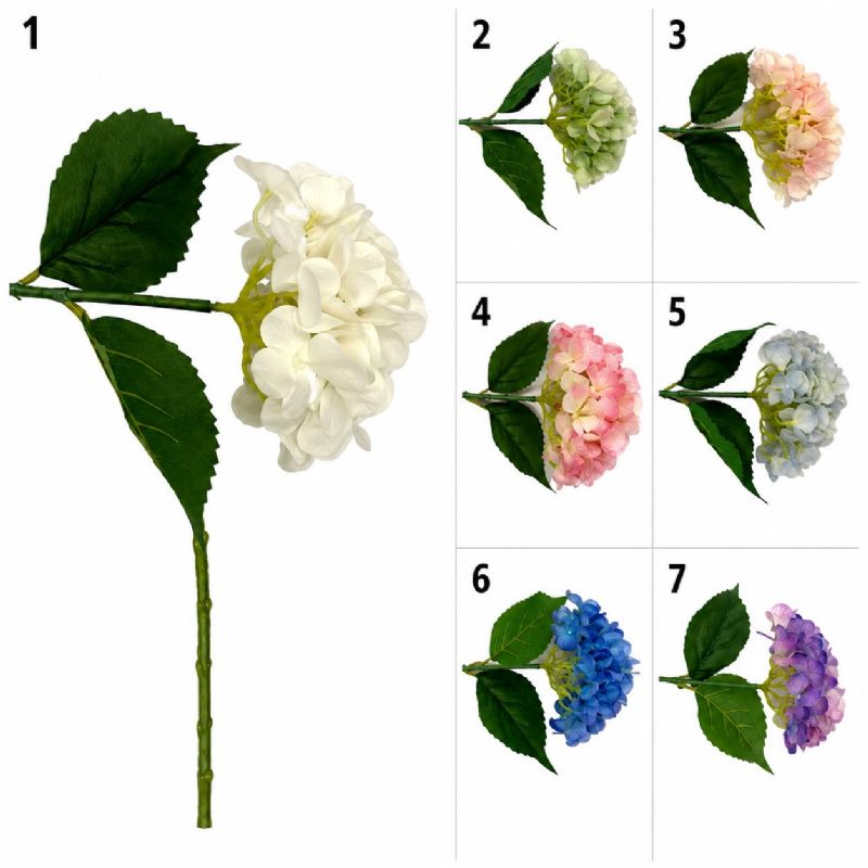 Super Floral Distributors Catalogue Image