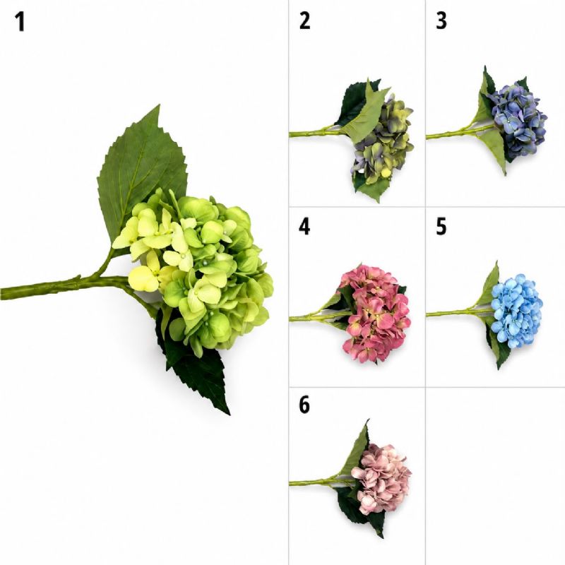 Super Floral Distributors Catalogue Image