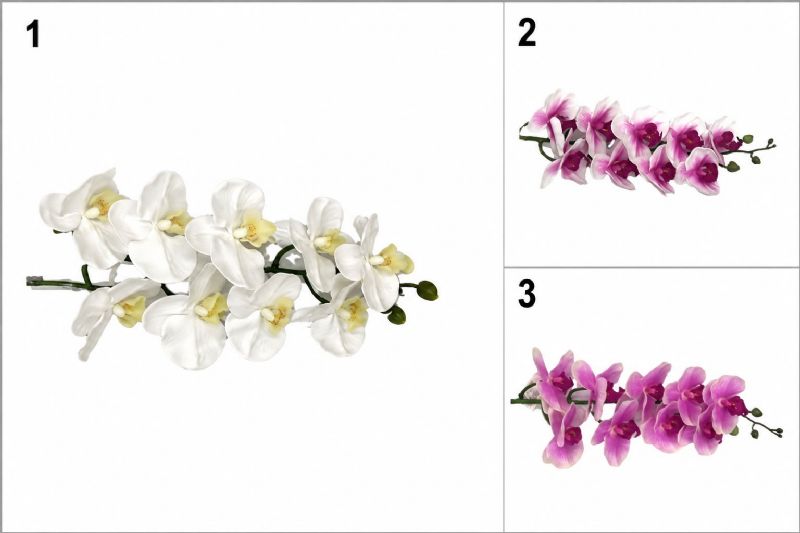 Super Floral Distributors Catalogue Image
