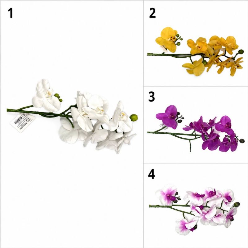 Super Floral Distributors Catalogue Image