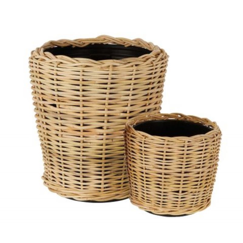 Super Floral Distributors Catalogue Image