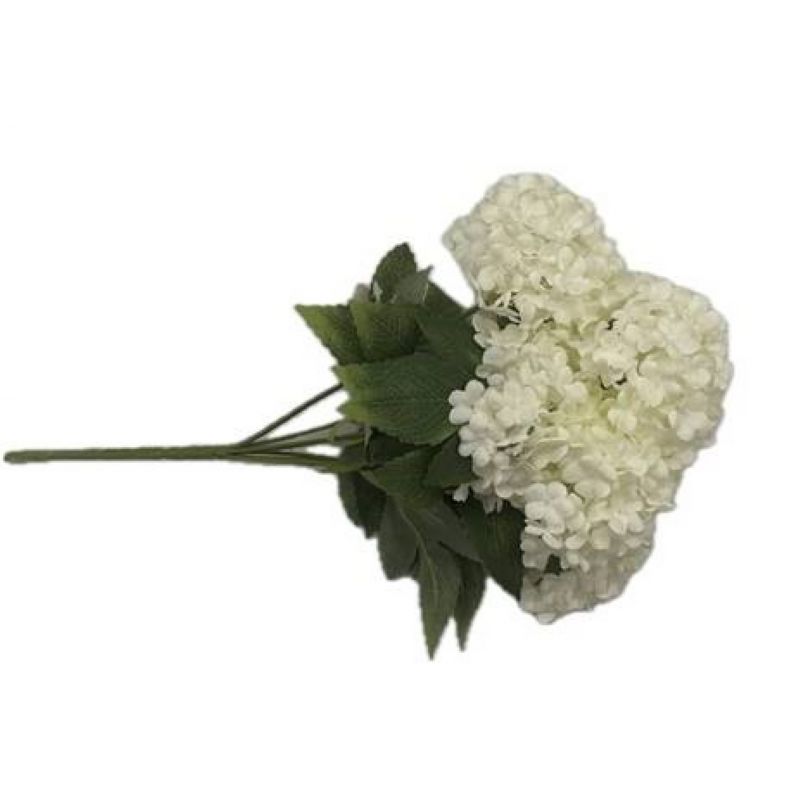 Super Floral Distributors Catalogue Image