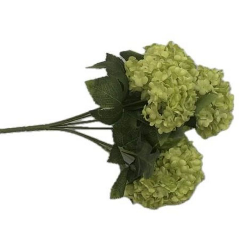 Super Floral Distributors Catalogue Image