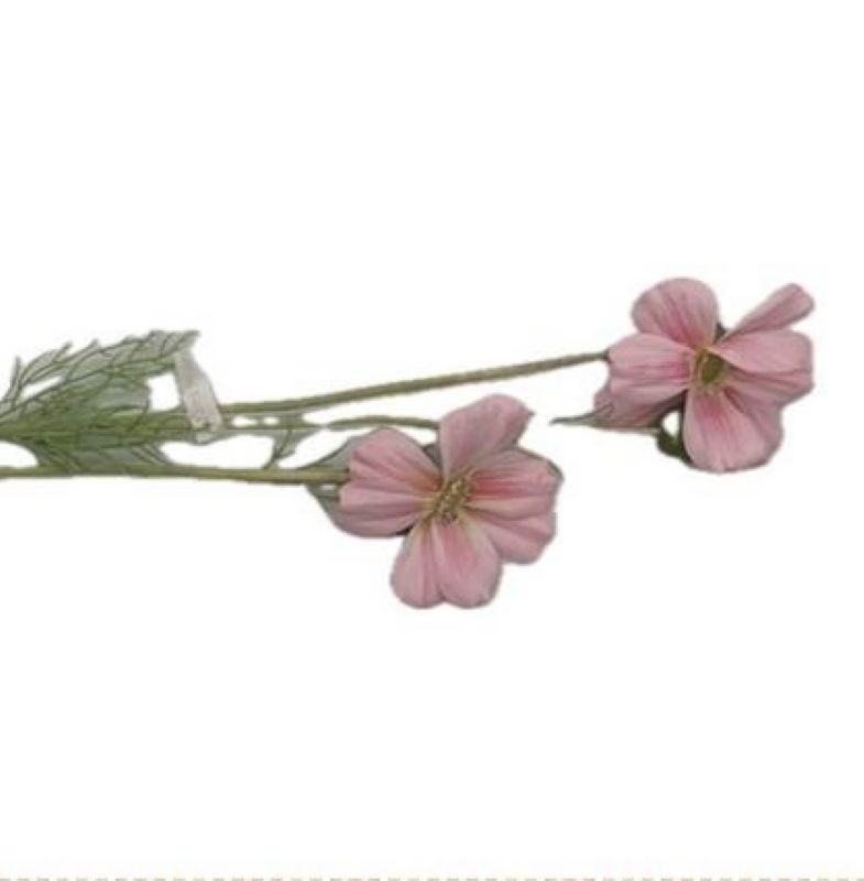 Super Floral Distributors Catalogue Image