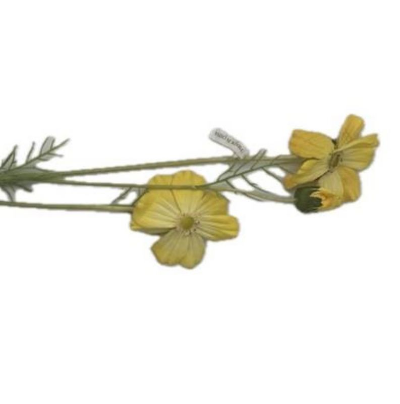 Super Floral Distributors Catalogue Image
