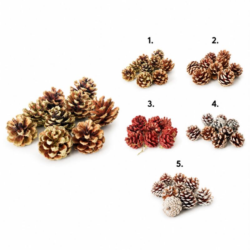 Super Floral Distributors Catalogue Image