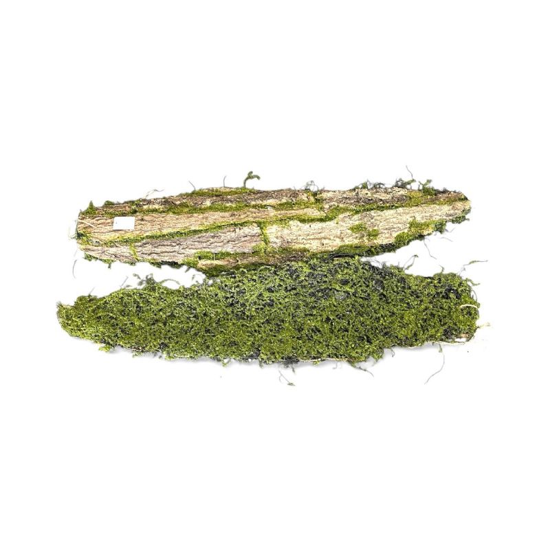 Super Floral Distributors Catalogue Image