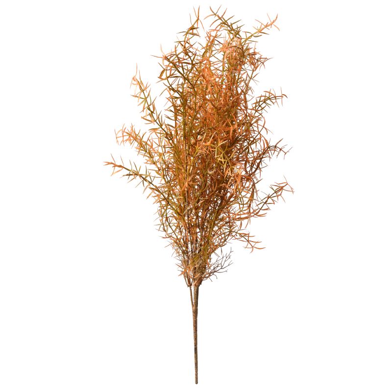 Super Floral Distributors Catalogue Image