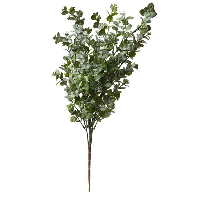 Super Floral Distributors Catalogue Image