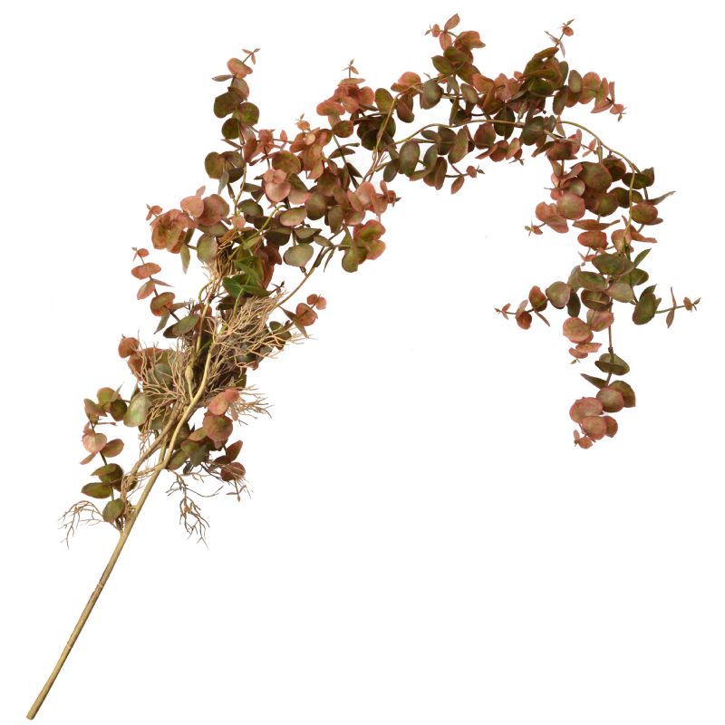 Super Floral Distributors Catalogue Image