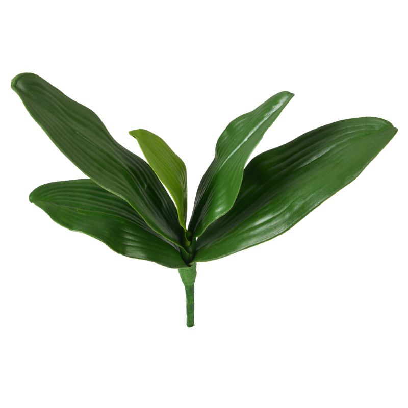 Super Floral Distributors Catalogue Image