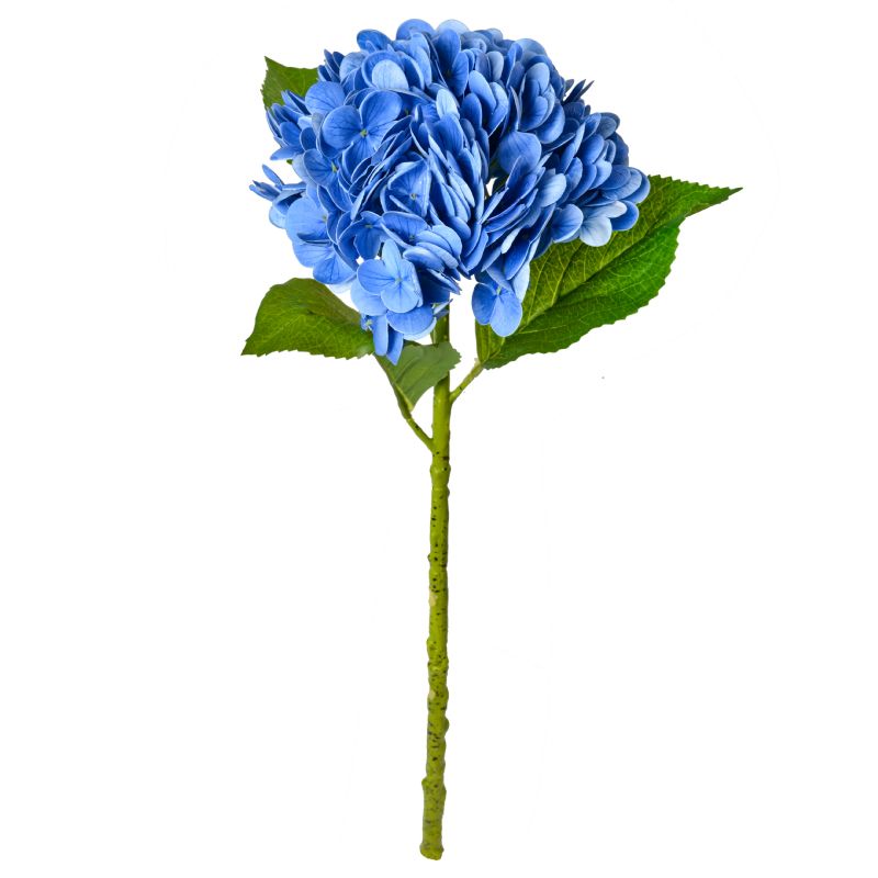 Super Floral Distributors Catalogue Image