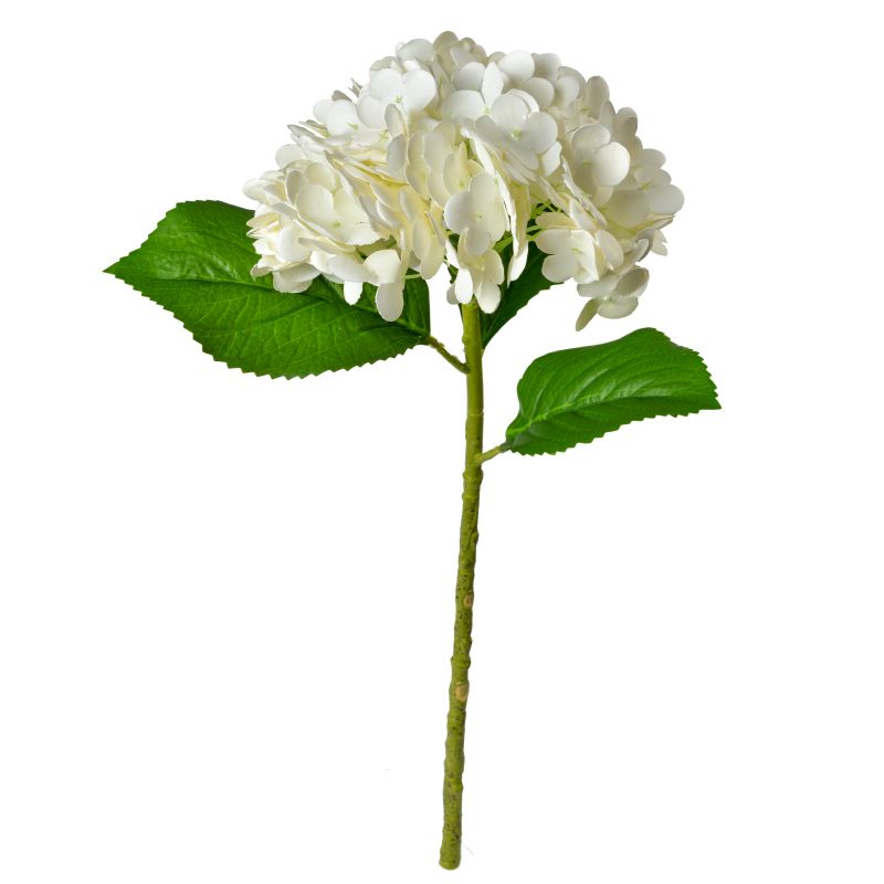 Super Floral Distributors Catalogue Image