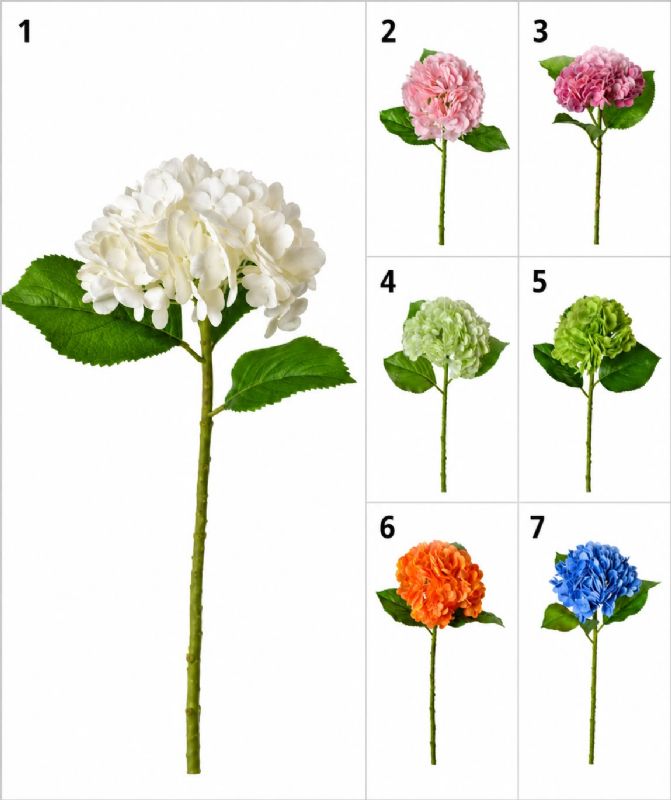 Super Floral Distributors Catalogue Image