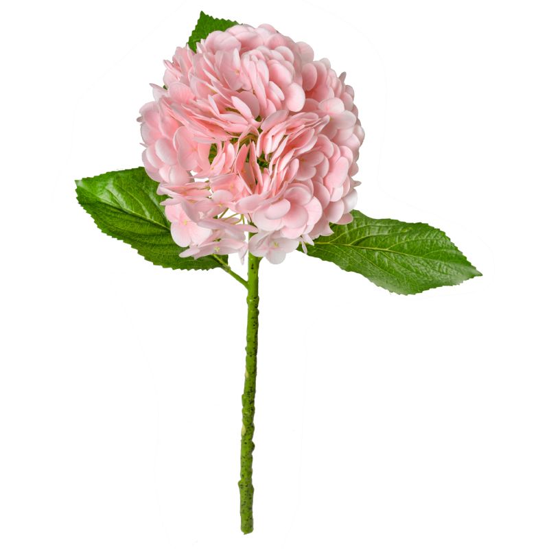 Super Floral Distributors Catalogue Image
