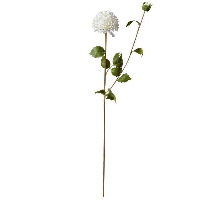 Super Floral Distributors Catalogue Image