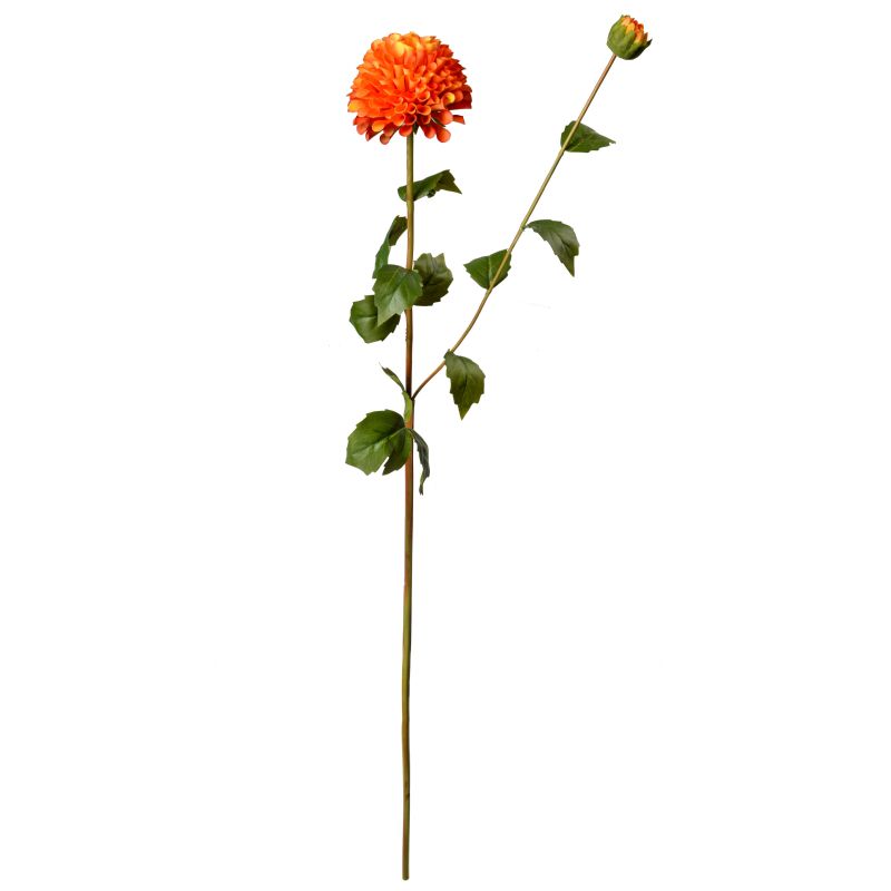 Super Floral Distributors Catalogue Image