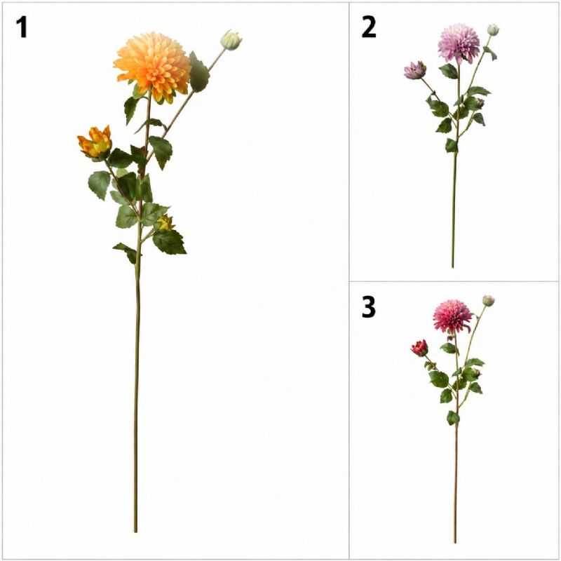 Super Floral Distributors Catalogue Image