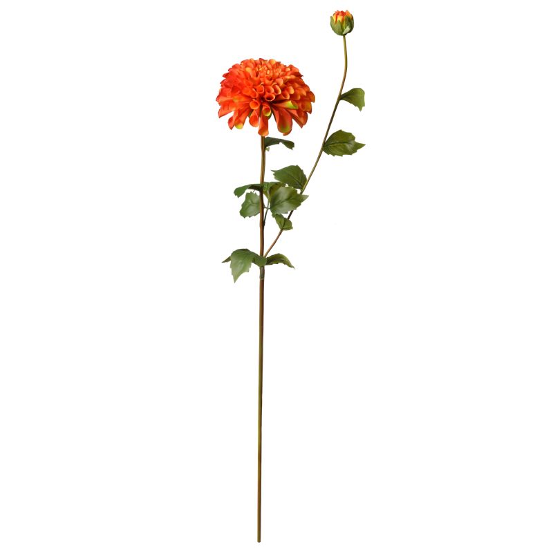 Super Floral Distributors Catalogue Image