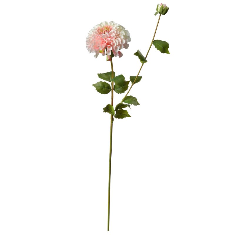 Super Floral Distributors Catalogue Image