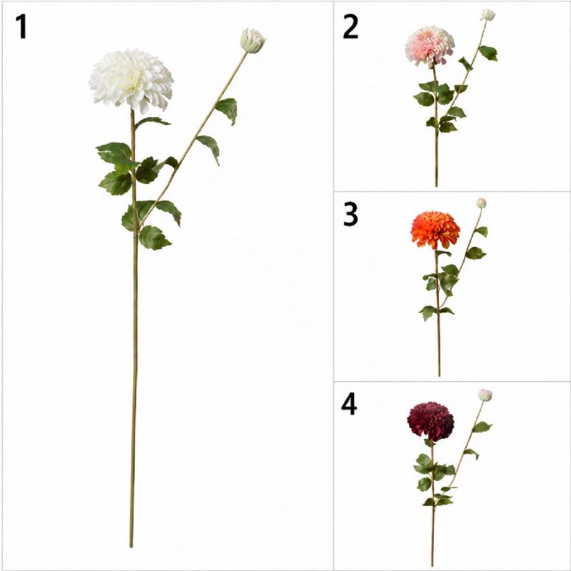 Super Floral Distributors Catalogue Image