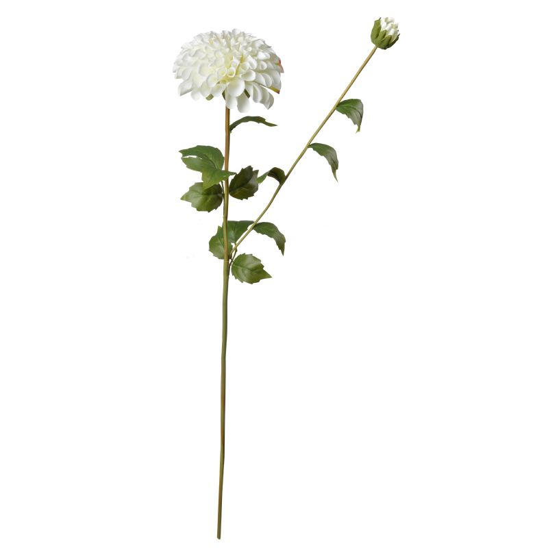 Super Floral Distributors Catalogue Image