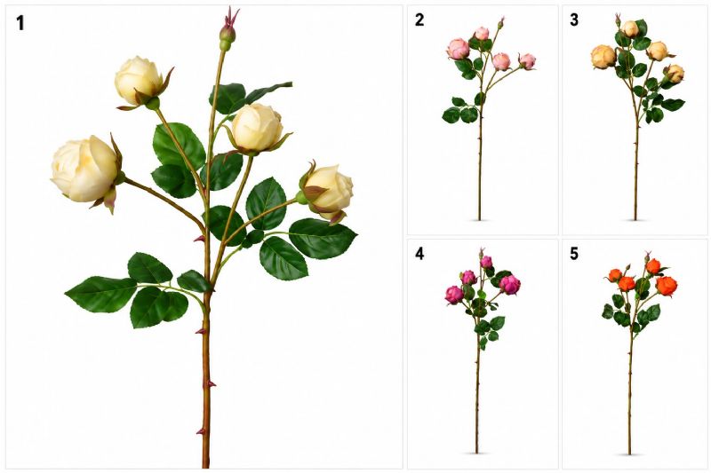 Super Floral Distributors Catalogue Image