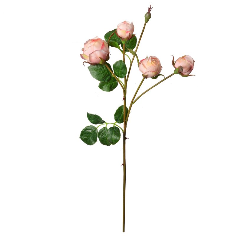 Super Floral Distributors Catalogue Image