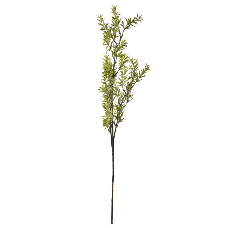 Super Floral Distributors Catalogue Image