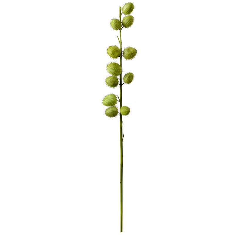 Super Floral Distributors Catalogue Image
