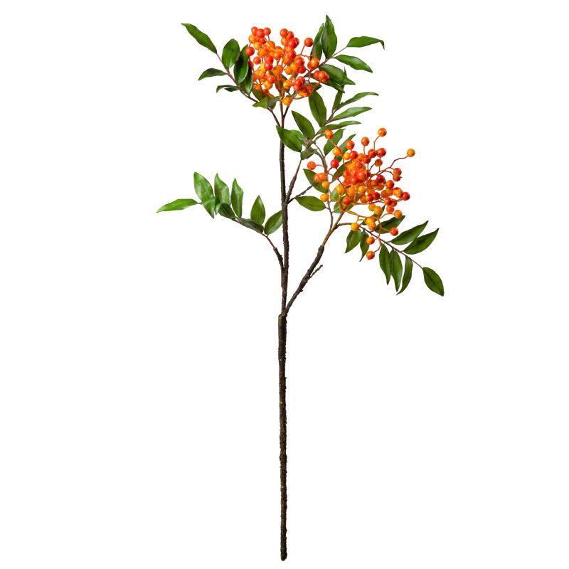 Super Floral Distributors Catalogue Image