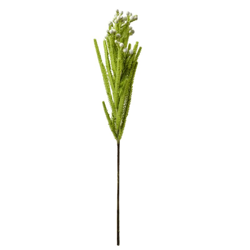 Super Floral Distributors Catalogue Image