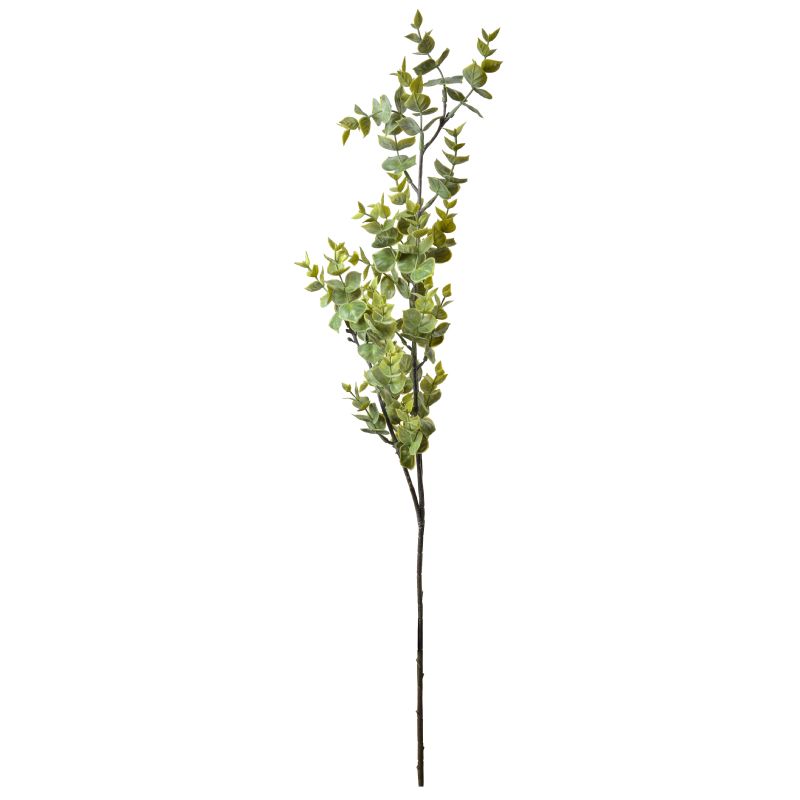 Super Floral Distributors Catalogue Image