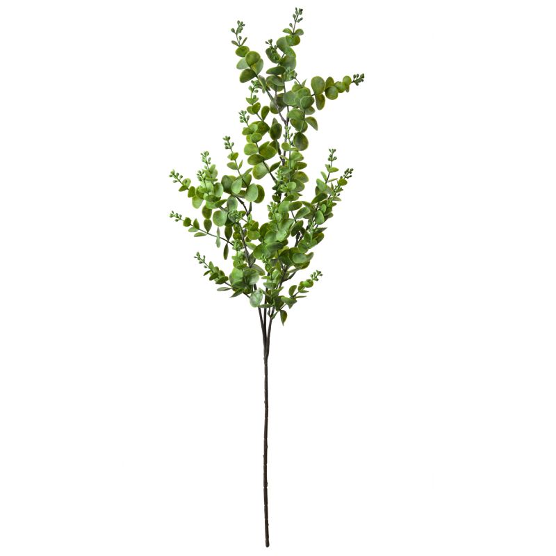 Super Floral Distributors Catalogue Image