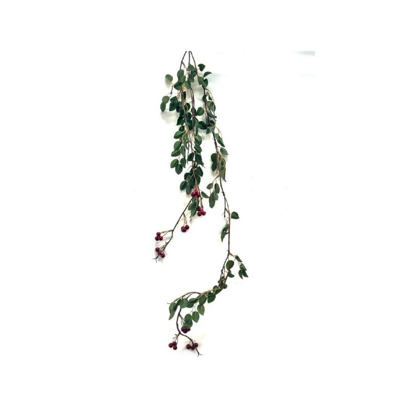 Super Floral Distributors Catalogue Image