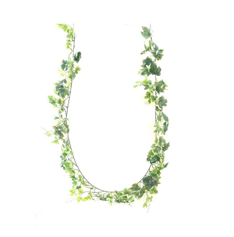 Super Floral Distributors Catalogue Image