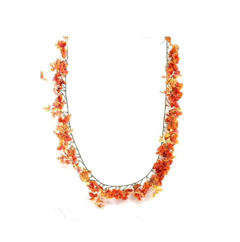 Super Floral Distributors Catalogue Image