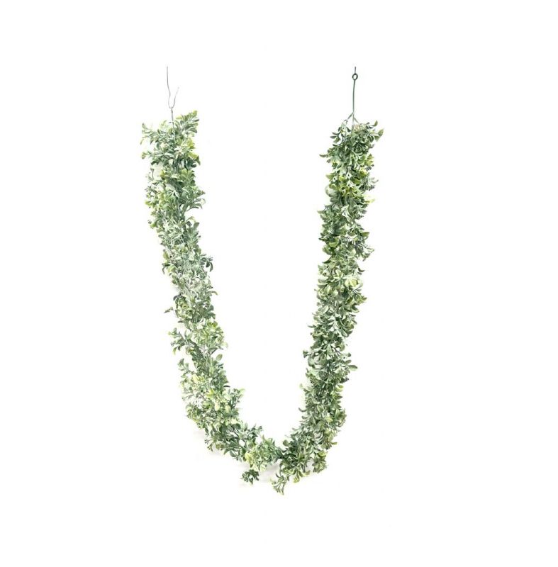 Super Floral Distributors Catalogue Image